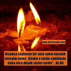 Alçakça söylenen bir söze sakın karşılık vereyim deme . Çünkü o sözün sahibinde daha nice düşük sözler vardır. Hz.Ali