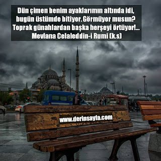 Dün çimen benim ayaklarımın altında idi, bugün üstümde bitiyor. Görmüyor musun? Toprak günahlardan başka..  Mevlana