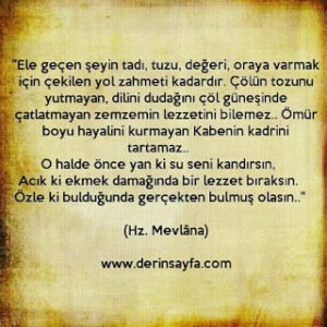 Ele geçen şeyin tadı, tuzu, değeri, oraya varmak için çekilen yol zahmeti kadardır.. (Hz. Mevlâna)