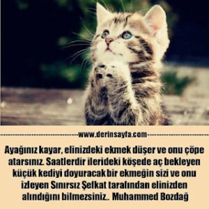 Ayağınız kayar, elinizdeki ekmek düşer ve onu çöpe atarsınız. Saatlerdir ilerideki köşede aç bekleyen.. Muhammed Bozdağ