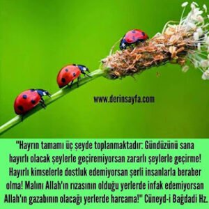 Hayrın tamamı üç şeyde toplanmaktadır: Gündüzünü sana hayırlı olacak şeylerle geçiremiyorsan zararlı şeylerle geçirme!