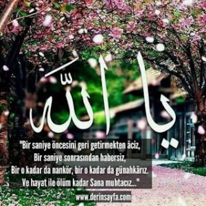 “Bir saniye öncesini geri getirmekten âciz, Bir saniye sonrasından habersiz, Bir o kadar da nankör..”