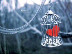 …Diyelim ki;
Bazı hakikatler ağır geldi bize…”
… Tarık Tufan