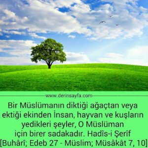 “Bir müslümanın diktiği ağaçtan veya ektiği ekinden insan, hayvan ve kuşların yedikleri şeyler, o müslüman için..” (Hadis)