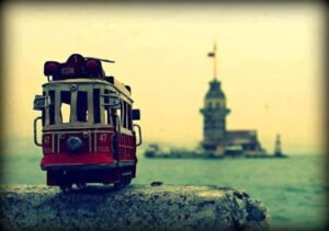 Yaşamın bir yılının ne olduğunu mu
merak ediyorsun?