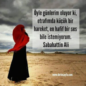 Öyle günlerim oluyor ki, etrafımda küçük bir hareket, en hafif bir ses bile istemiyorum. Sabahattin Ali