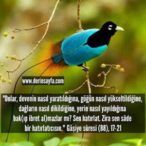 Onlar, devenin nasıl yaratıldığına, göğün nasıl yükseltildiğine, dağların nasıl dikildiğine, bak(ıp ibret al)mazlar mı?