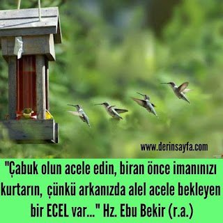 Çabuk olun acele edin, biran önce imanınızı kurtarın, çünkü arkanızda alel acele bekleyen bir ECEL var… Hz. Ebu Bekir