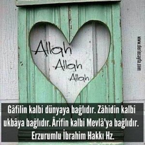 Gâfilin kalbi dünyaya bağlıdır.  Zâhidin kalbi ukbâya bağlıdır. Ârifin kalbi Mevlâ’ya bağlıdır. Erzurumlu İbrahim Hakkı Hz.