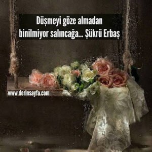 Düşmeyi göze almadan binilmiyor salıncağa… Şükrü Erbaş