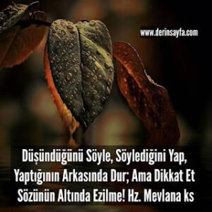 Düşündüğünü Söyle, Söylediğini Yap, Yaptığının Arkasında Dur; Ama Dikkat Et Sözünün Altında Ezilme! Mevlana