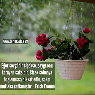 Eğer sevgi bir çiçekse, saygı onu koruyan saksıdır. Çiçek solmaya başlamışsa dikkat edin, saksı.. Erich Fromm