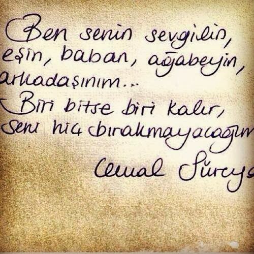 Ben senin Sevgilin , eşin , baban,
ağabeyin, arkadaşınım…- Cemal Süreya.