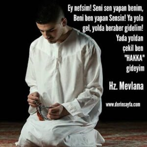 Ey nefsim! Seni sen yapan benim, Beni ben yapan Sensin! Ya yola gel, yolda beraber gidelim! Hz. Mevlana