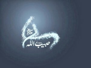 Ve hiç bir şiir Resûlullah' ın;"Ya Rabbi kalbime engel olamıyorum,Âişe'yi çok seviyorum. . ."N.Bekiroğlu