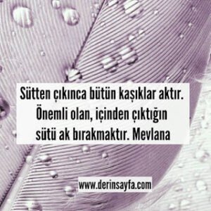 Sütten çıkınca bütün kaşıklar aktır. Önemli olan, içinden çıktığın sütü ak bırakmaktır. Mevlana