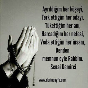 Ayrıldığım her köşeyi, Terk ettiğim her odayı, Tükettiğim her anı, Harcadığım her nefesi, Veda ettiğim her insanı.. Senai Demirci