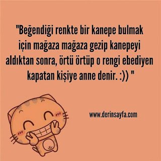 “Beğendiği renkte bir kanepe bulmak için mağaza mağaza gezip kanepeyi aldıktan sonra, örtü örtüp..”