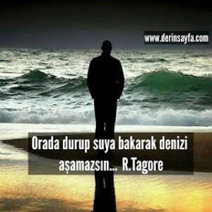 Orada durup suya bakarak denizi aşamazsın…  R.Tagore