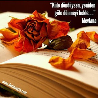 “Küle döndüysen, yeniden güle dönmeyi bekle. . .” Mevlana