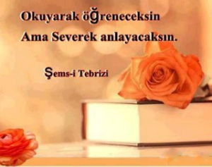Okuyarak Öğreneceksin Ama….. Severek ANLAYACAKSIN