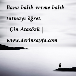 Bana balık verme balık tutmayı öğret.  | Çin Atasözü |