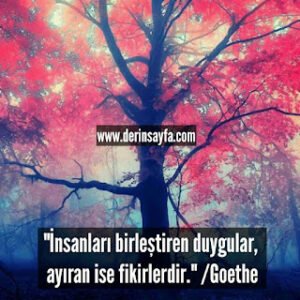 “İnsanları birleştiren duygular, ayıran ise fikirlerdir.” Goethe