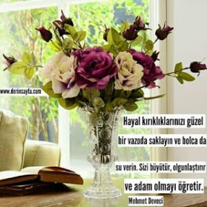 Mehmet Deveci Sözleri