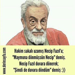 Hakim sakalı uzamış Necip Fazıl’a; “Maymuna dönmüşsün Necip” demiş. “Şimdi de duvara döndüm” demiş :))
