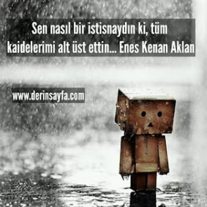 Sen nasıl bir istisnaydın ki, tüm kaidelerimi alt üst ettin… Enes Kenan Aklan