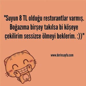 “Suyun 8 TL olduğu restorantlar varmış. Boğazıma birşey takılsa bi köşeye çekilirim sessizce ölmeyi beklerim. :))”