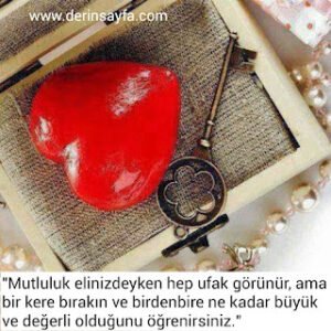 “Mutluluk elinizdeyken hep ufak görünür, ama bir kere bırakın ve birdenbire ne kadar büyük ve değerli..”