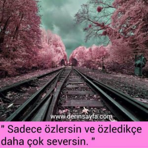 " Sadece özlersin ve özledikçe daha çok seversin. "