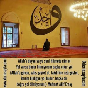 Allah’a dayan sa’ye sarıl hikmete râm ol Yol varsa budur bilmiyorum başka çıkar yol. Mehmet Akif Ersoy