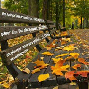 Hep denir ya ”ben arkandayım, sırtın yere gelmez” diye. Ben almayayım, yüzüm yere geleceğine.. Sunay Akın