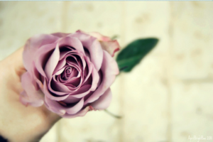 "Sağlık, Huzur, Hayırla, "
Diyebilenleriniz varsa…Onları sımsıkı tutun…