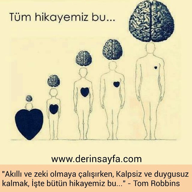 "Akıllı ve zeki olmaya çalışırken,
Kalpsiz ve duygusuz kalmak,
İşte bütün hikayemiz bu…"
– Tom Robbins