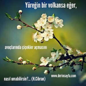 Yüreğin bir volkansa eğer, avuçlarında çiçekler açmasını nasıl umabilirsin?… (H.Cibran)