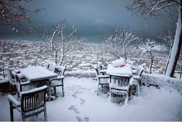 ''Tesadüf ve tevâfuk kelimelerini birbirinden ayıran,
Kocaman bir “kadere iman” çizgisi vardır….''