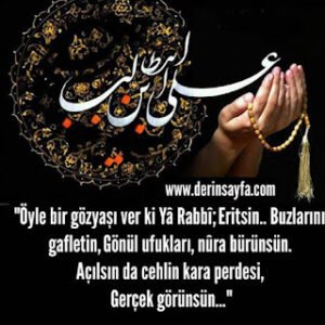 “Öyle bir gözyaşı ver ki Yâ Rabbî; Eritsin.. Buzlarını gafletin, Gönül ufukları, nûra bürünsün.”