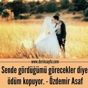 Sende gördüğümü görecekler diye ödüm kopuyor. – Özdemir Asaf