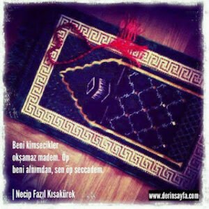 Beni kimsecikler okşamaz madem. Öp beni alnımdan, sen öp seccadem.