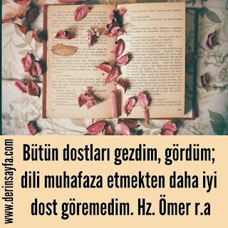 Bütün dostları gezdim, gördüm; dili muhafaza etmekten daha iyi dost göremedim
