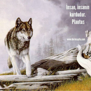 İnsan, insanın kurdudur. Plautus