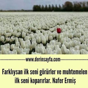 Farklıysan ilk seni görürler ve muhtemelen ilk seni koparırlar. Nafer Ermiş