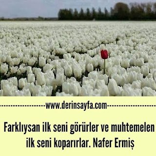 Farklıysan ilk seni görürler ve muhtemelen ilk seni koparırlar. Nafer Ermiş