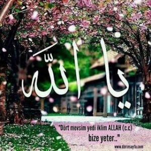 “Dört mevsim yedi iklim ALLAH (c.c) bize yeter..”