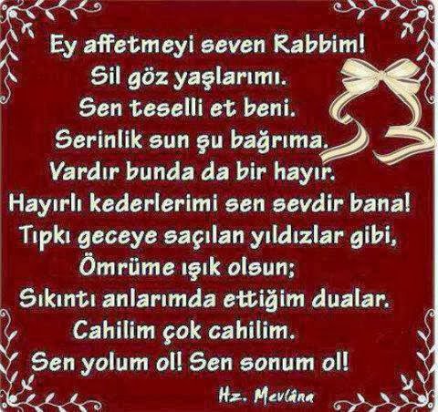 Ey affetmeyi seven Rabbim,sil göz
yaşlarımı.