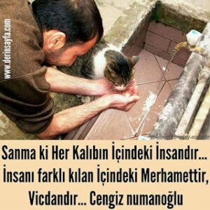 Sanma ki her kalıbın içindeki insandır… İnsanı farklı kılan içindeki merhamettir, vicdandır… Cengiz numanoğlu