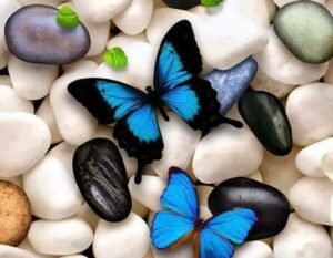 Bazen,
Akışına bırakmak gerekir;
Yaprakları,
Suyu,
Mevsimleri…